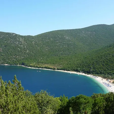 Nireaus * Chaliotata