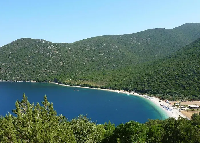 Nireaus * Chaliotata